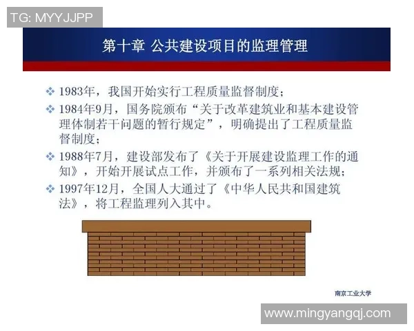 南京羽毛球队实力分析及其在各项赛事中的表现评估与未来发展潜力探讨