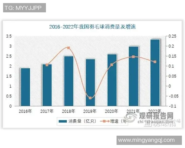 广州羽毛球队个人能力分析与发展潜力探讨