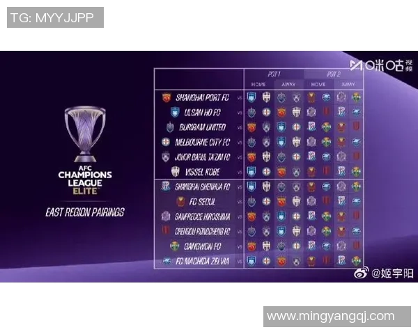 上海足球队以60分稳居世界杯积分榜首位争夺冠军希望再添动力