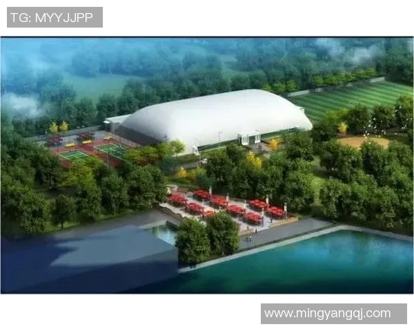 重庆网球队运营分析:成功经验与不足之处的全面探讨 重庆网球队运营分析:成功经验与不足之处的全面探讨