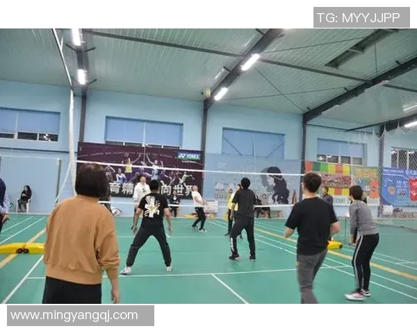 吴丽独家分享排球心得与技巧助你提升球技的秘密之道