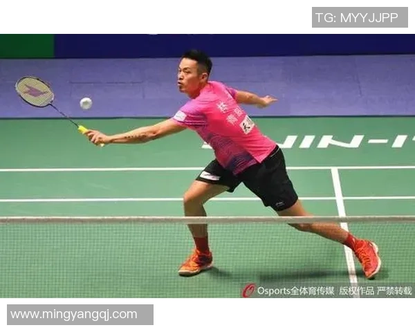 对话羽毛球名将杨敏回顾辉煌生涯与未来展望