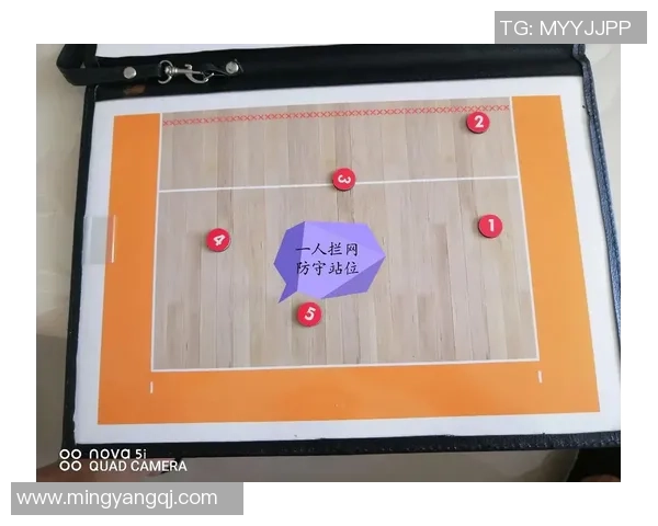 广州排球队进攻体系解析与战术创新探讨