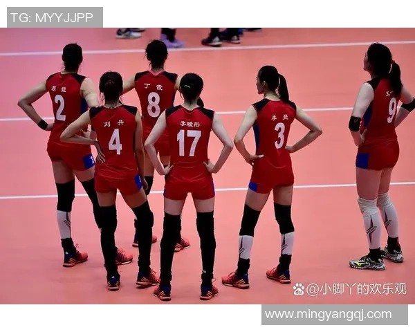 深圳排球队在全国排球团队协作排行榜中荣获第八名的佳绩分析