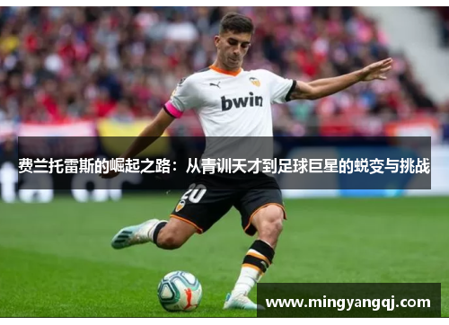 费兰托雷斯的崛起之路：从青训天才到足球巨星的蜕变与挑战